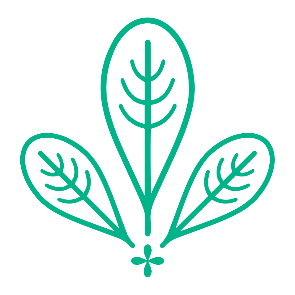 Fytocina logo